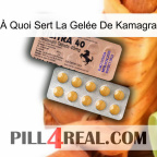 À Quoi Sert La Gelée De Kamagra 41